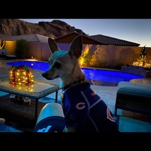 Meet your Posher, Christina